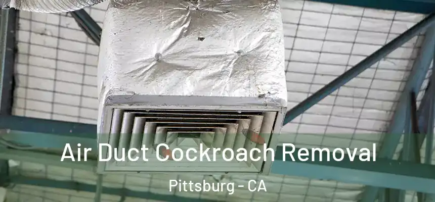  Air Duct Cockroach Removal Pittsburg - CA