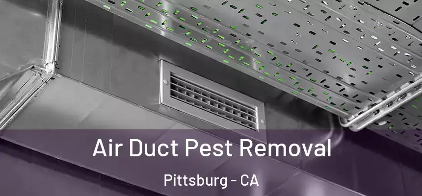  Air Duct Pest Removal Pittsburg - CA