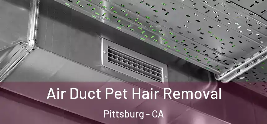  Air Duct Pet Hair Removal Pittsburg - CA