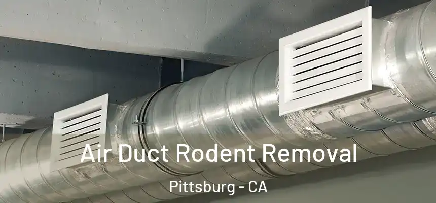  Air Duct Rodent Removal Pittsburg - CA