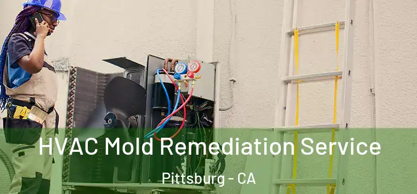  HVAC Mold Remediation Service Pittsburg - CA