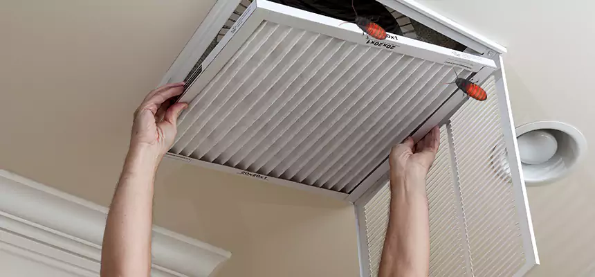 Our Insect Removal from Air Ducts Services in Pittsburg, CA
