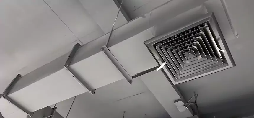 Our Pest Removal From Ducts Services in Pittsburg, CA