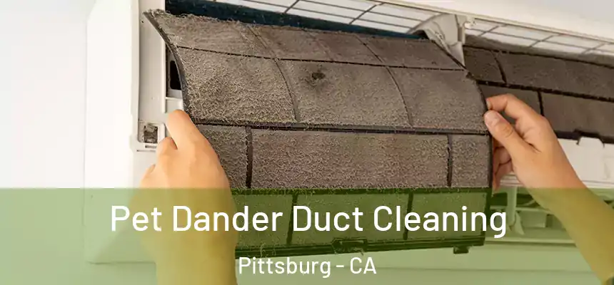  Pet Dander Duct Cleaning Pittsburg - CA