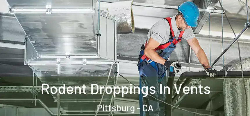  Rodent Droppings In Vents Pittsburg - CA