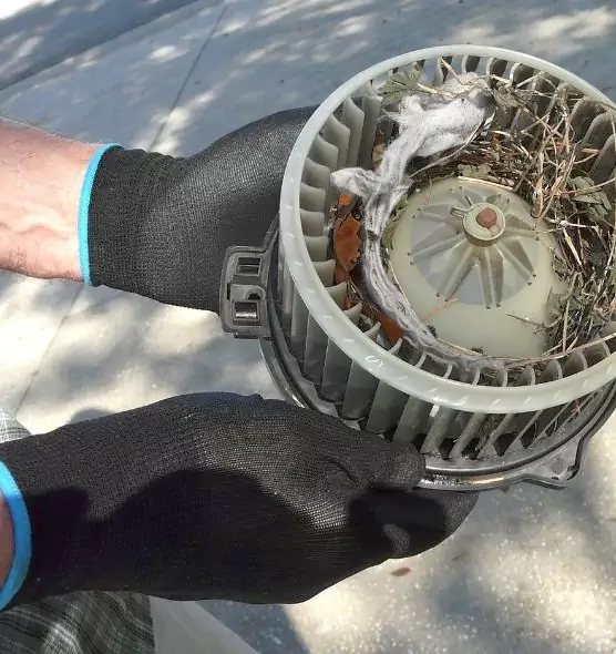 About Air Duct Rat Removal in Pittsburg, CA