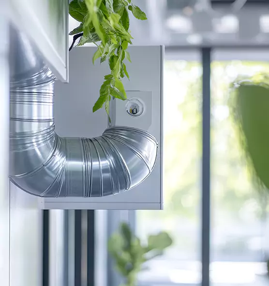 Professional Eco-Safe Dryer Vent Cleaning in Pittsburg, CA